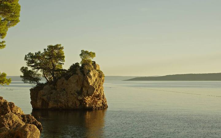 De rotspunt met dennenbomen bij Brela aan de Makarska Riviera in het zachte avondlicht boven een kalme zee