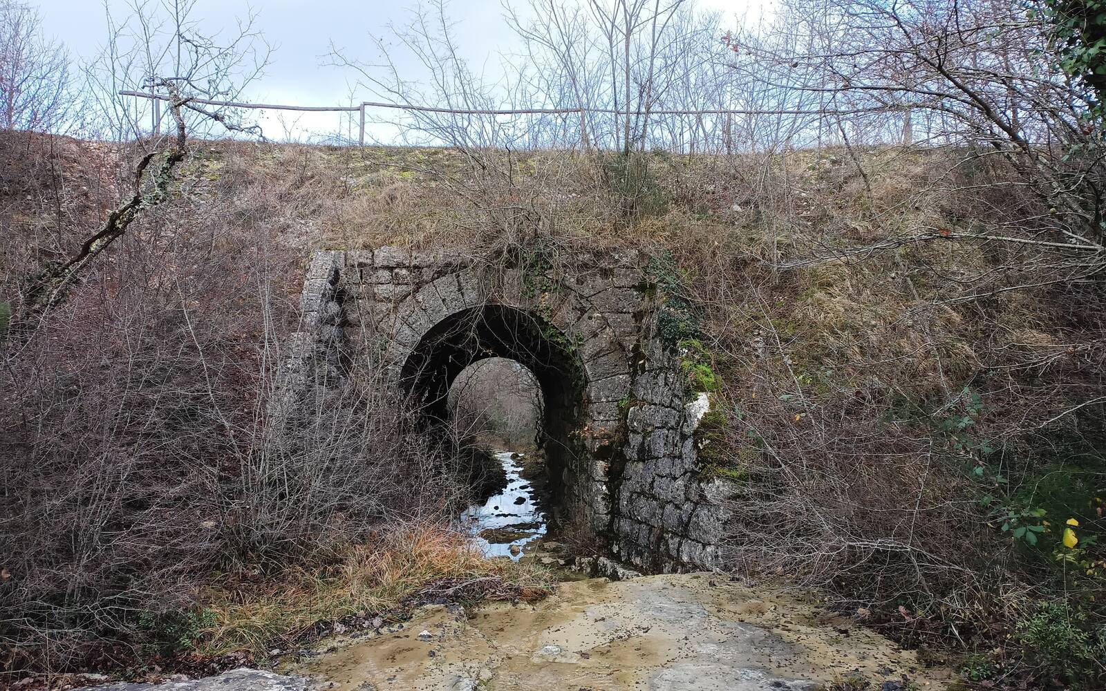 Oude stenen tunnel van de voormalige Parenzana-spoorlijn bij Vižinada in Istrië