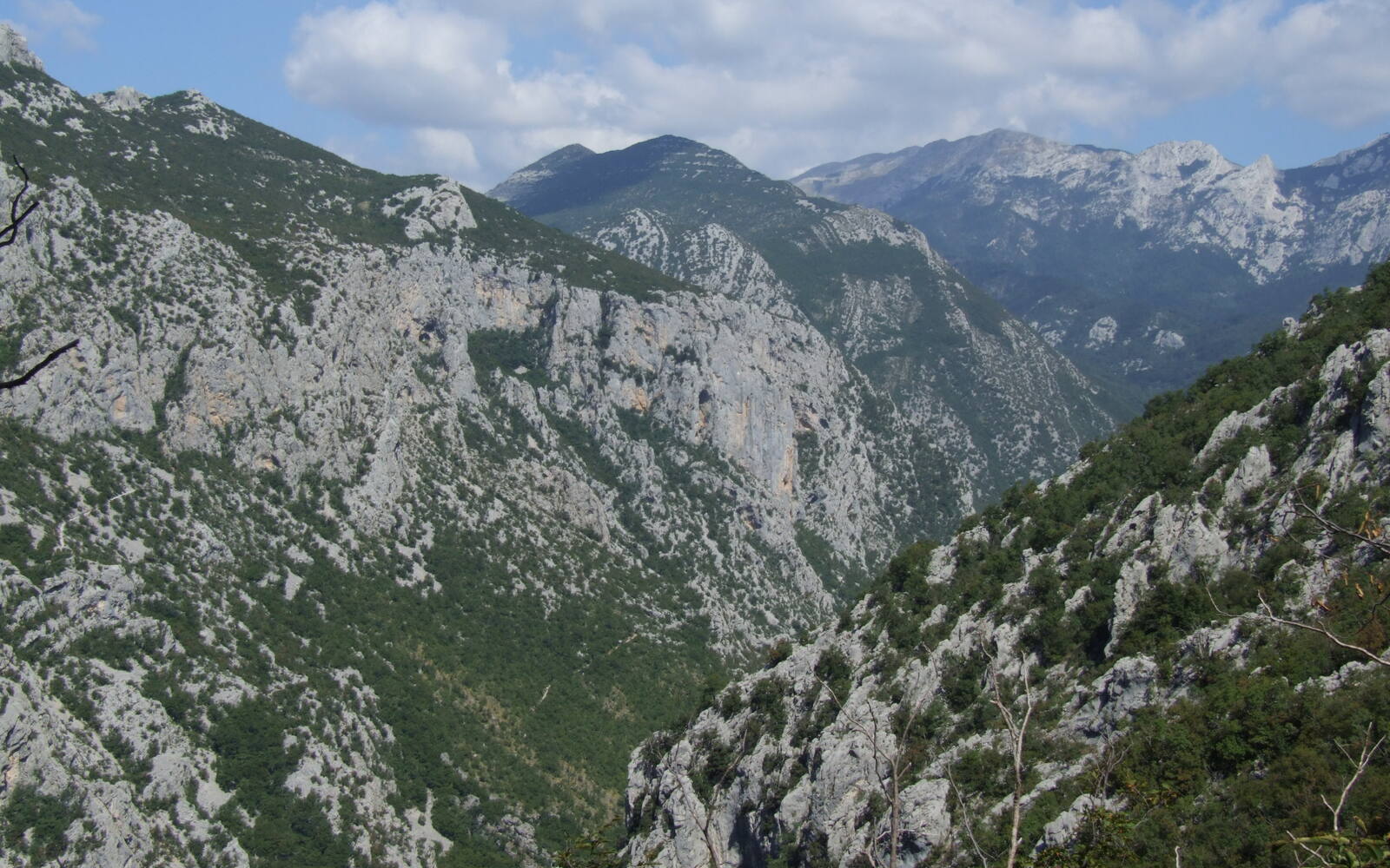 De diepe kloof van Velika Paklenica met steile, grijze kalksteenwanden en groene beboste hellingen
